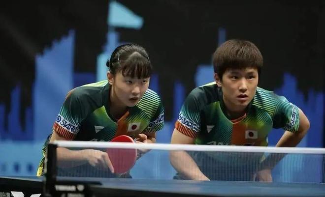 开设了羽毛 开设了羽毛