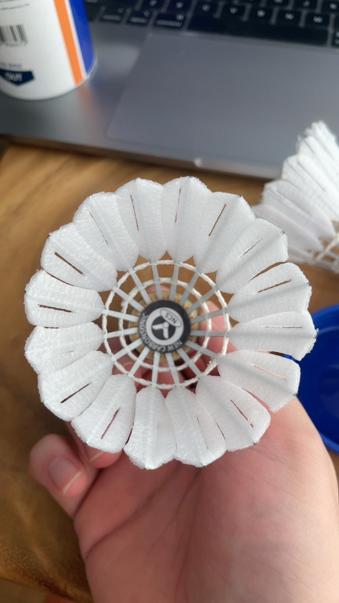 莎曾面对强 莎曾面对强